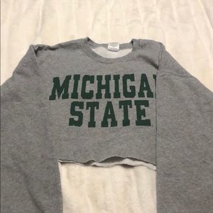 Tailgate Michigan state sweatshirt